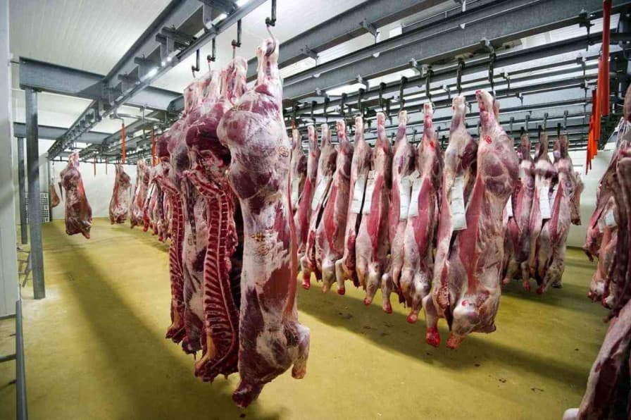 Kuwaiti's anger explains decline in local and Romanian meat prices in Jordan