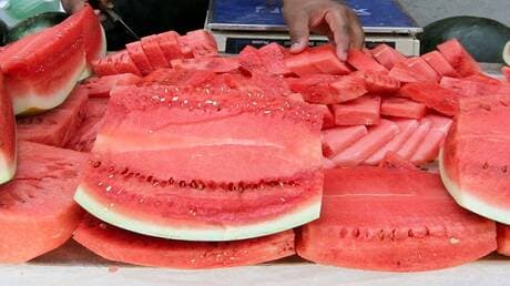 Russian Expert Warns Watermelon as a Deceptive Food
