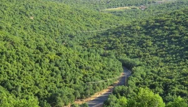 Ajloun Reserve Receives 35,000 Visitors