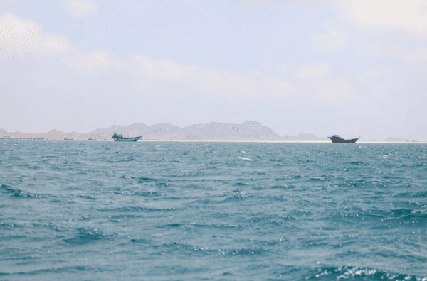 Houthis deny imposing Bab al-Mandab fees