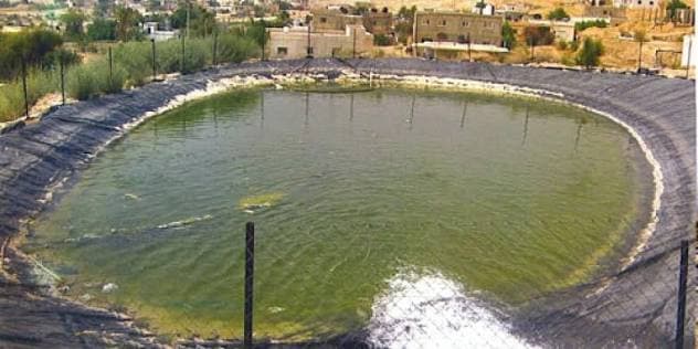 Security alert: Do not swim in agricultural ponds
