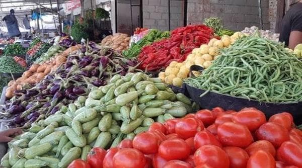 منع بيع منتجات البستانية بدون توريدها للسوق