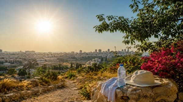 Friday sees high temperatures across most regions