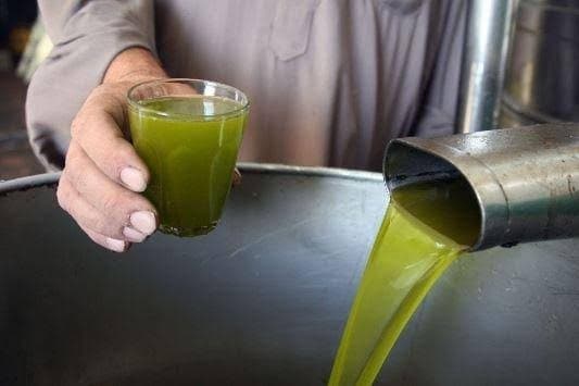 مزارعون يتوقعون سعر 85 دينار لتنكة الزيت البلدي