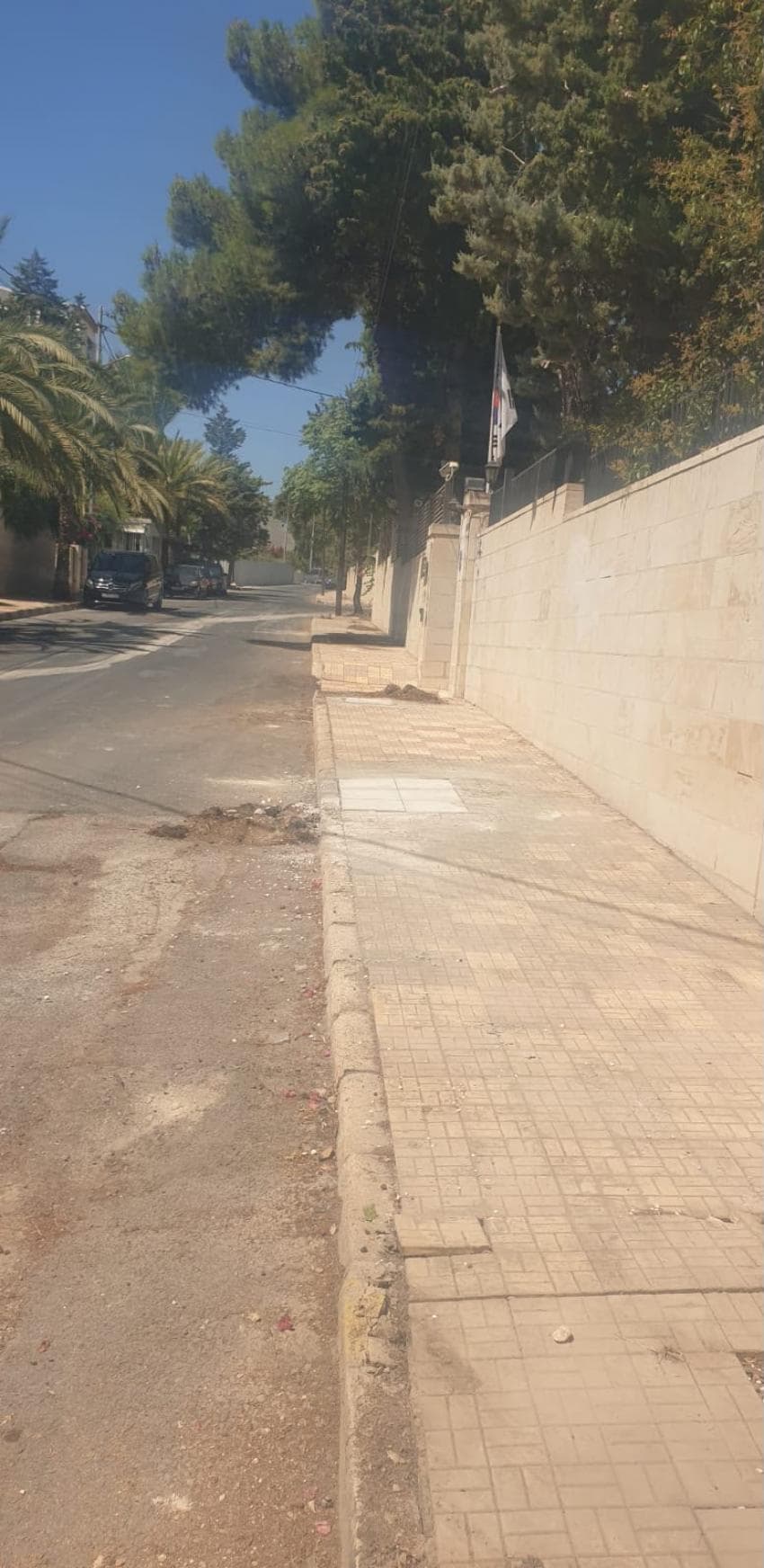الأمانة تؤكد حق المشاة في الأرصفة وإزالة الأشجار المعوقة