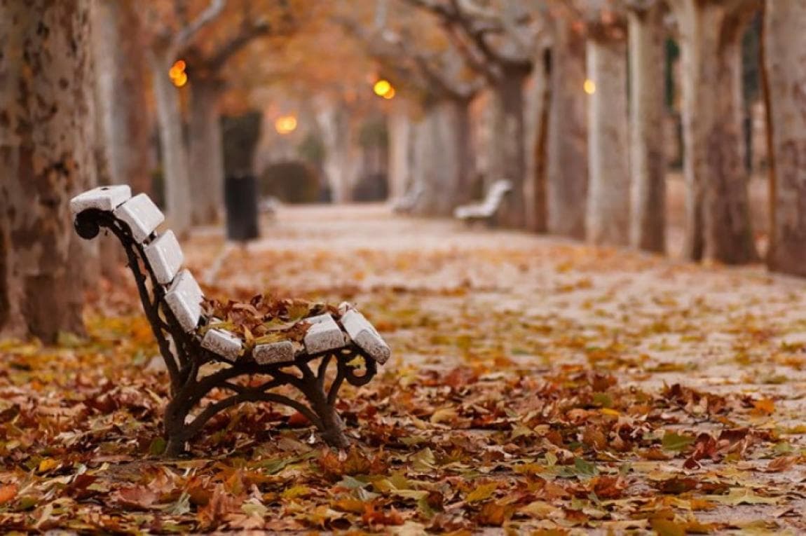 Autumn starts in 89 days