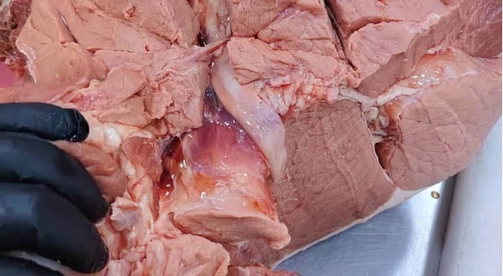 الغذاء والدواء تضبط لحوم منتهية في الكرك
