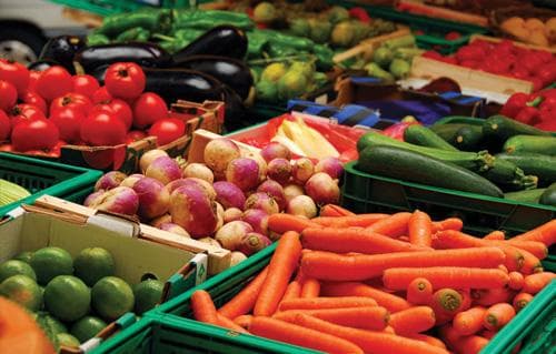 Kafr El Sheikh Market Produce Prices