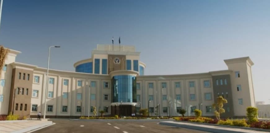 Security denies Minya prison strike
