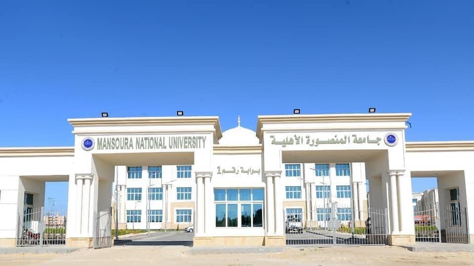Mansoura University staff named national contacts for Horizon Europe