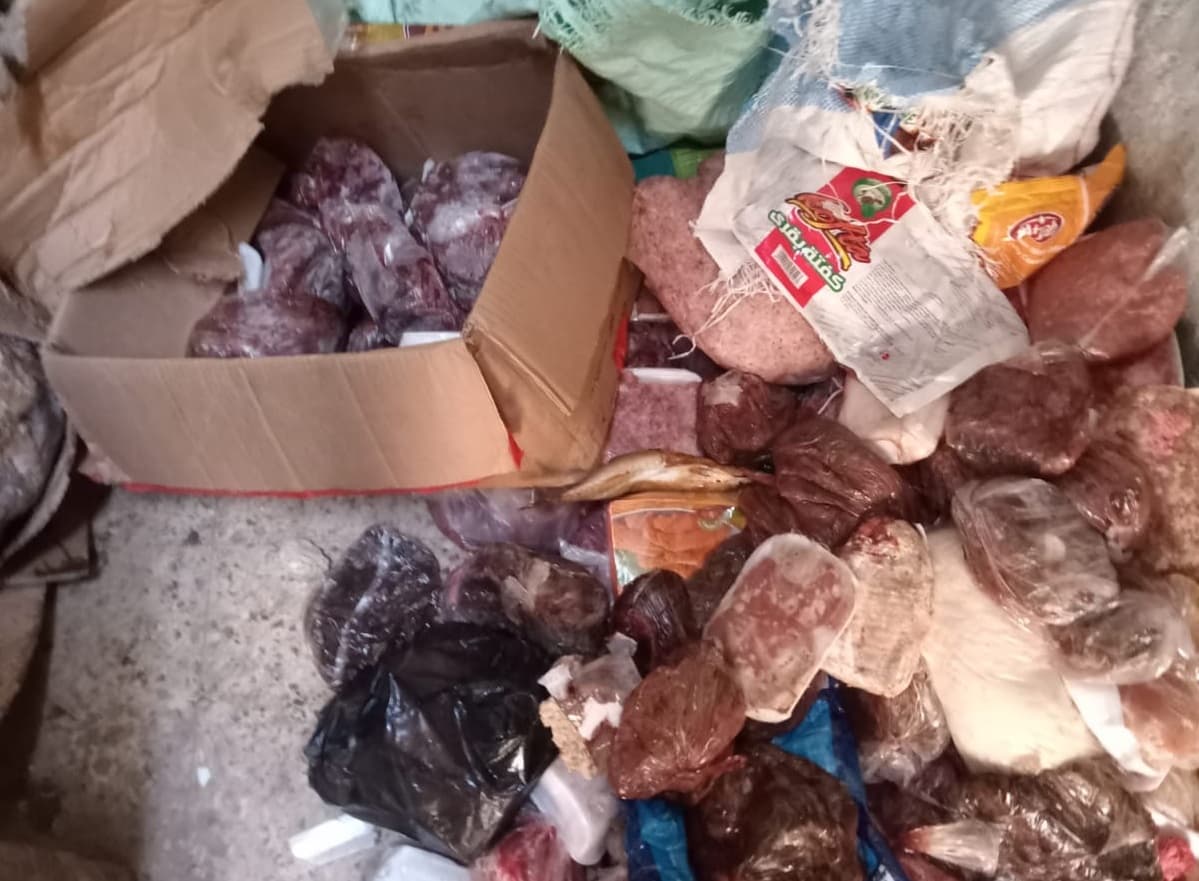 Spoiled Meat Confiscated in Alexandria