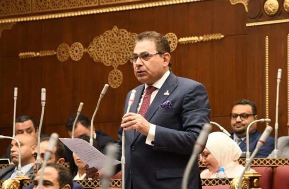 فرج فتحي يبرز رفض مصر للتدخلات في أفريقيا