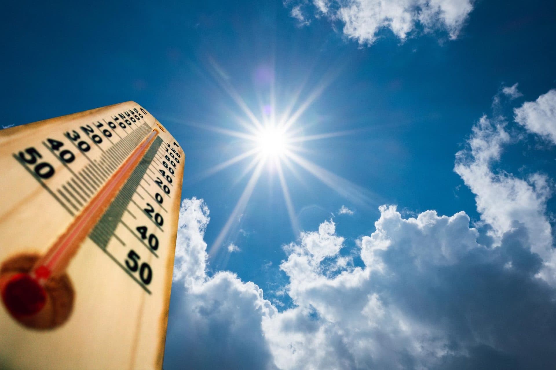 طقس كفرالشيخ اليوم: استقرار الحرارة وشبورة صباحا