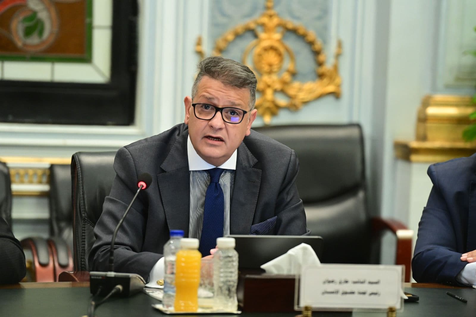 لجنة حقوق الإنسان بمجلس النواب تستقبل رئيس لجنة حقوق الإنسان الأوروبية