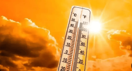Kafr El Sheikh Thursday Weather Hot and Humid