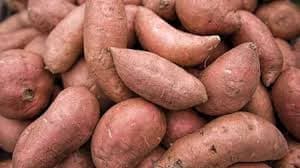 Egyptian agricultural exports lead with potatoes and strawberries
