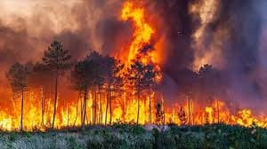 France PM calls emergency for forest fires