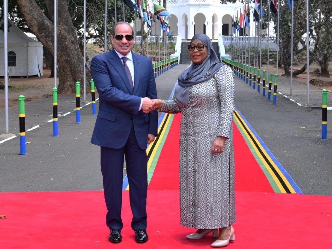 القصبي: زيارة السيسي تؤكد دور مصر الإفريقي