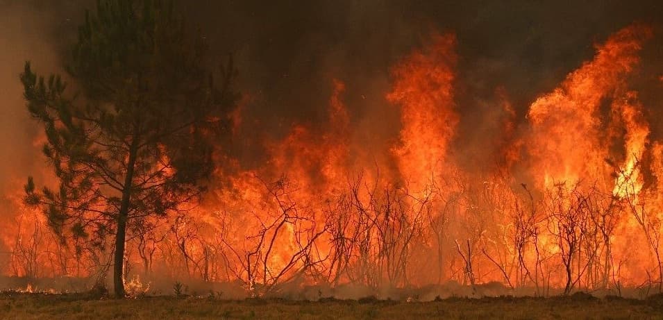 إجلاء أكثر من 20 ألفًا بسبب حريق غابات في كندا
