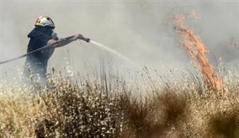 Greece faces wildfires in Evros and Paros