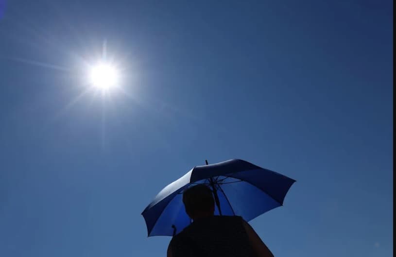 Robert Koch: Heat-related Deaths in Germany Reach 10,000