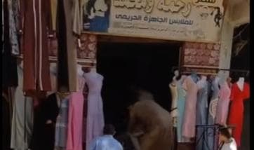 مشاجرة بسبب مصاهرة في الدقهلية وضبط المشاركين