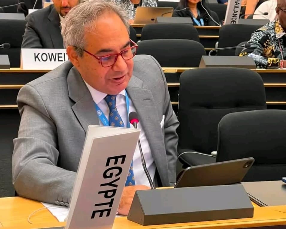 Egypt's new term and renewal at UN Human Rights Council