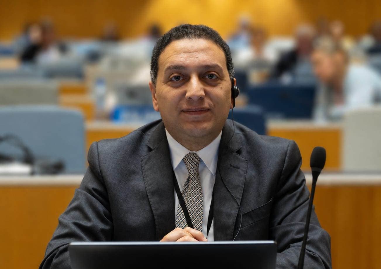 المستشار محمد عادل باسم الحكومة