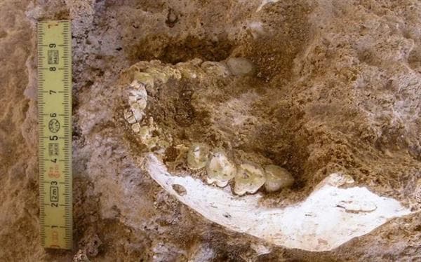 اكتشاف آثار أسلاف بشرية غير معروفة