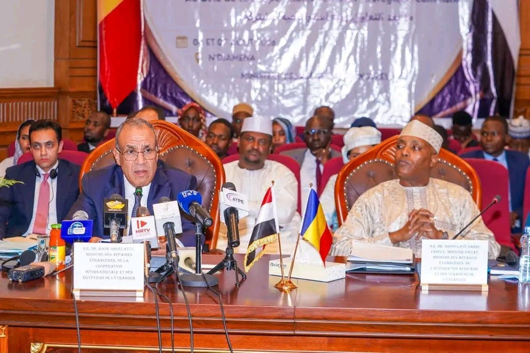 Egypt-Chad Joint Committee Meets