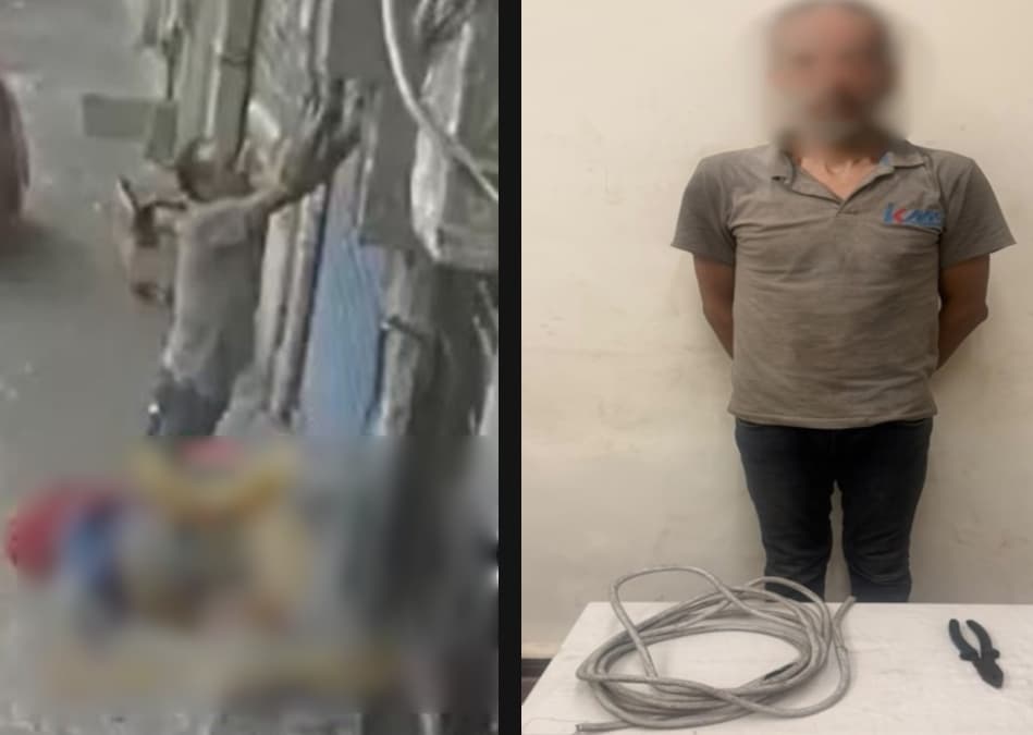 حريق يفضي إلى ضبط سارق كهرباء في الإسكندرية