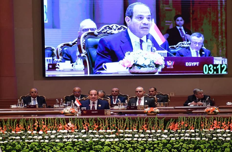 Senate Member on Sisi's BRICS Speech