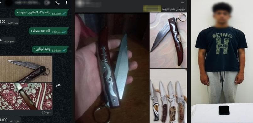 Minya student arrested for online weapon scams