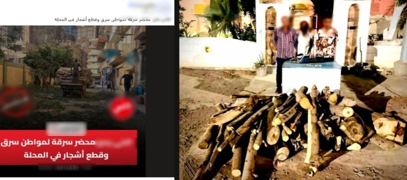 اعتقال متورطين في قطع وبيع أخشاب المحلة