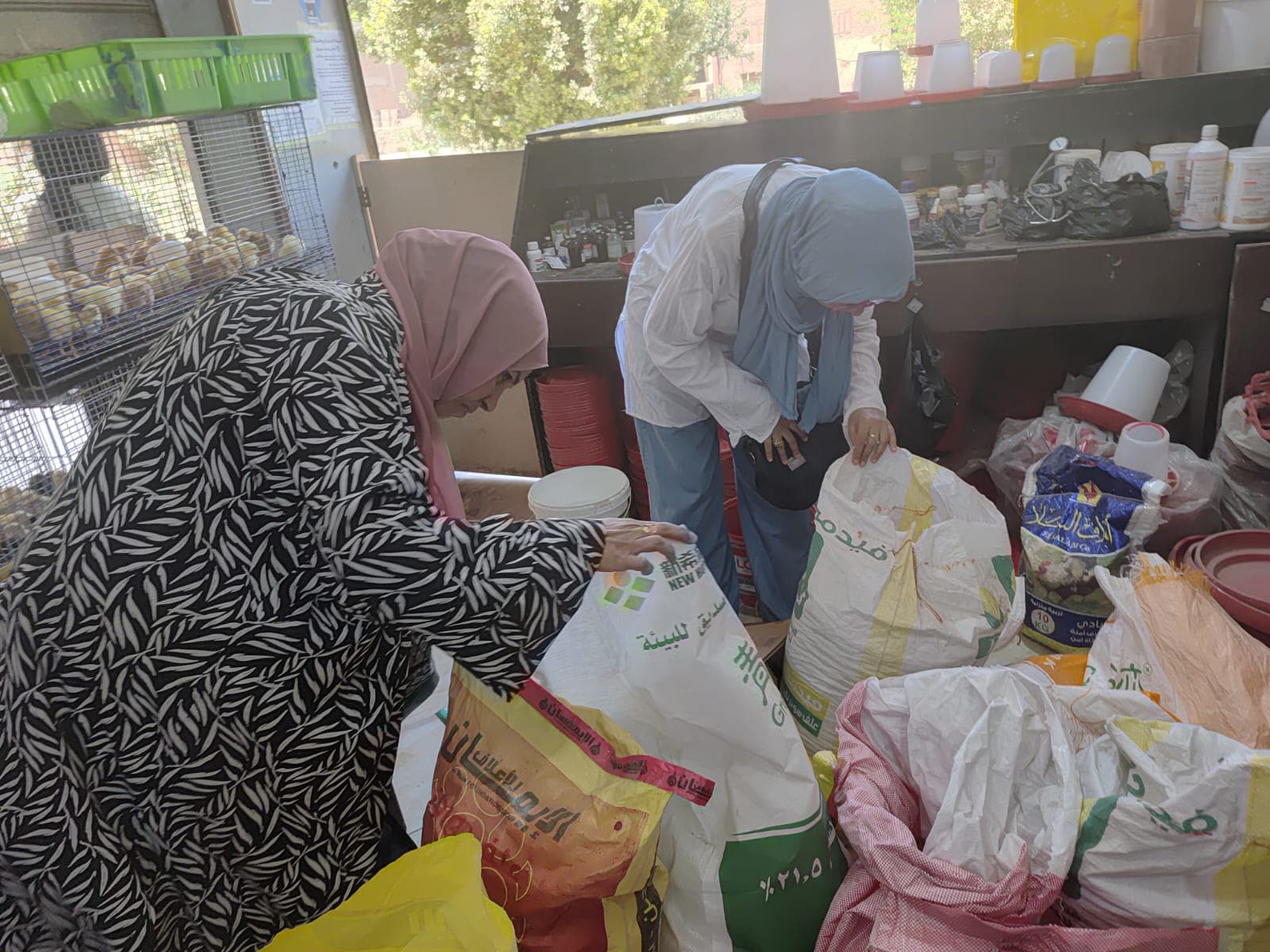 Arment shop seized with expired veterinary products