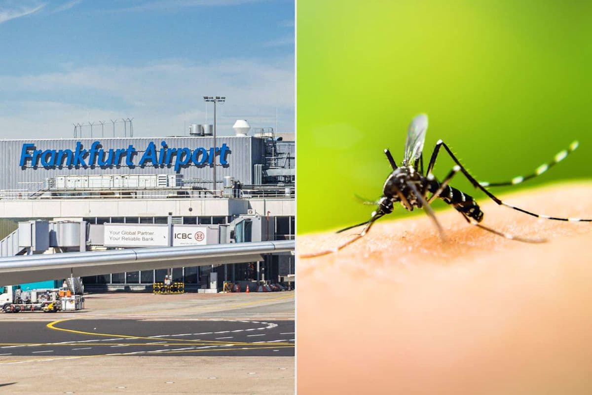 Germany issues malaria warning near Frankfurt