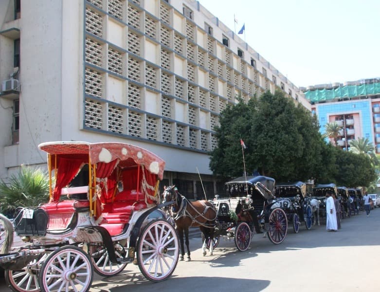 Carriage Numbering Starts in Aswan
