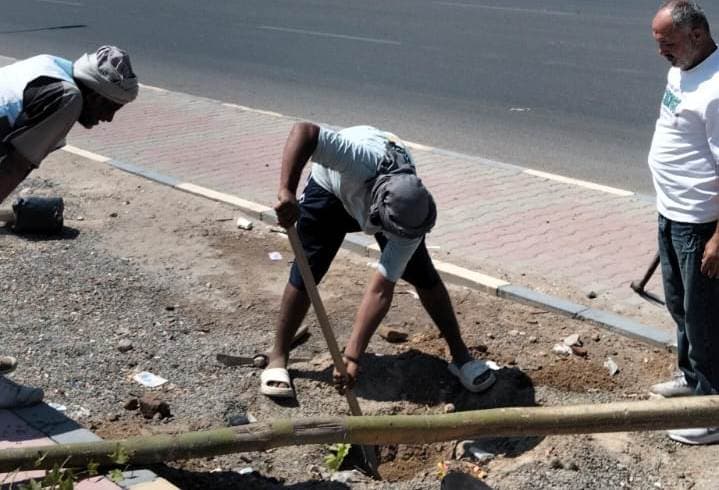 South Hurghada improves airport road with trees