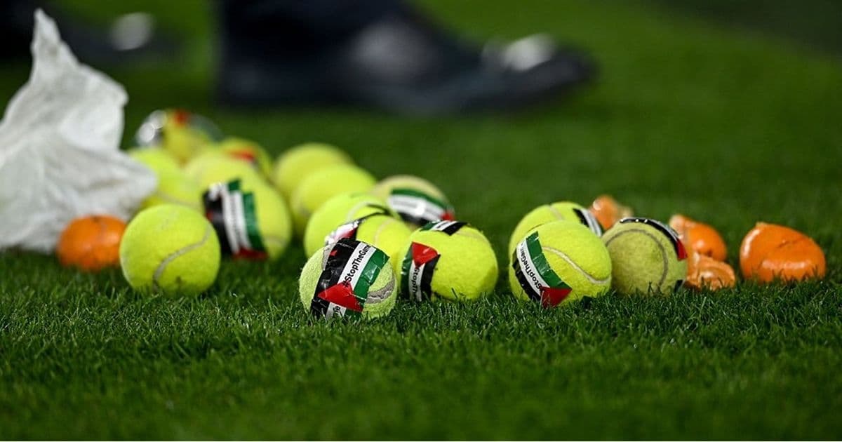 Ireland-Austria match paused over protest