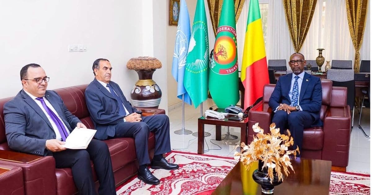 Algeria and Mali resume talks