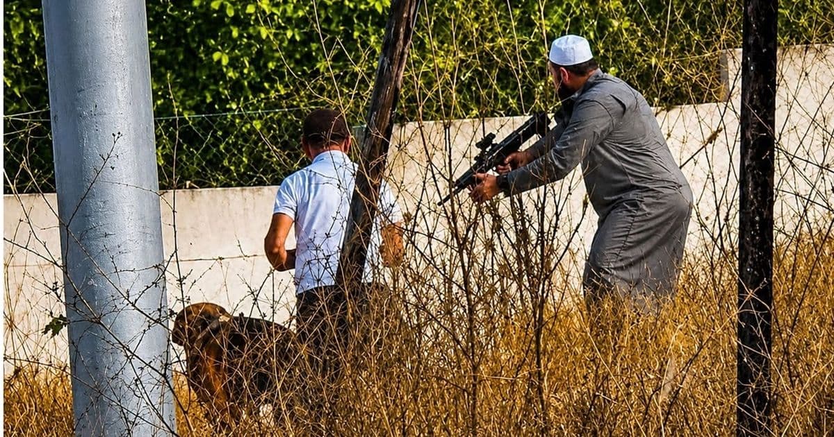 Palestinian nonviolent protests