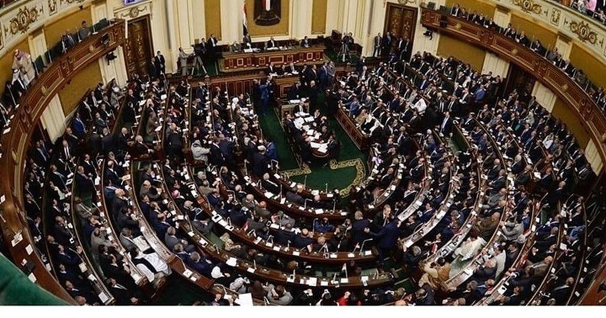 الموافقة على جامعة جديدة للجيش المصري وزيادة القلق بشأن جودة التعليم