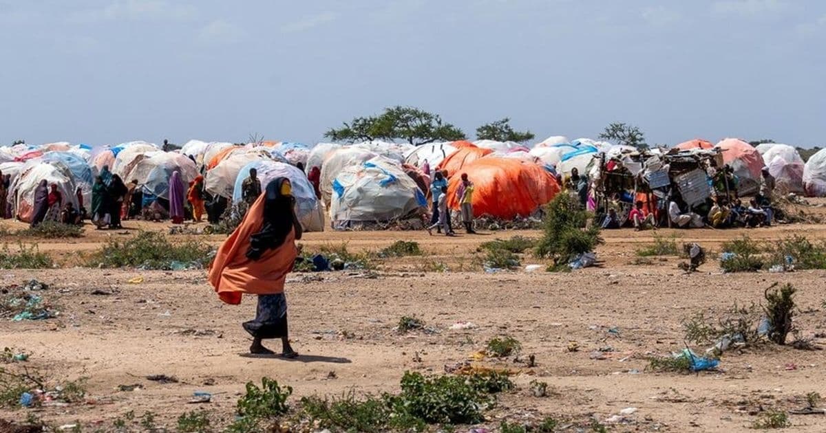 AI's role in Somalia's hunger response