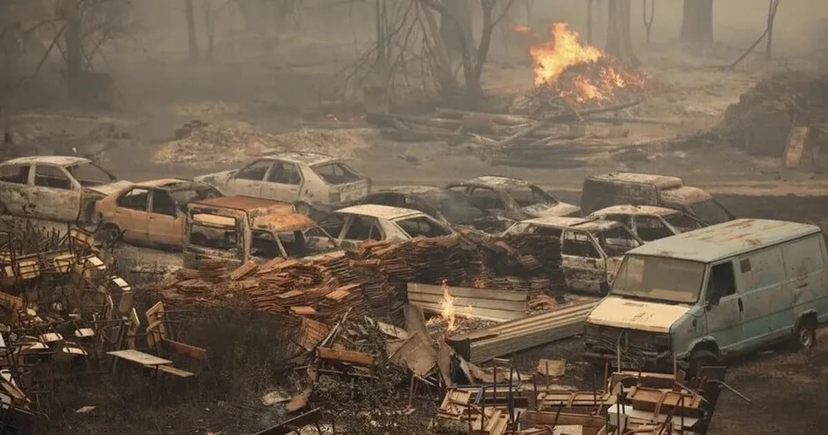 الجزائر تحدد مدة الحداد على ضحايا حرائق الغابات