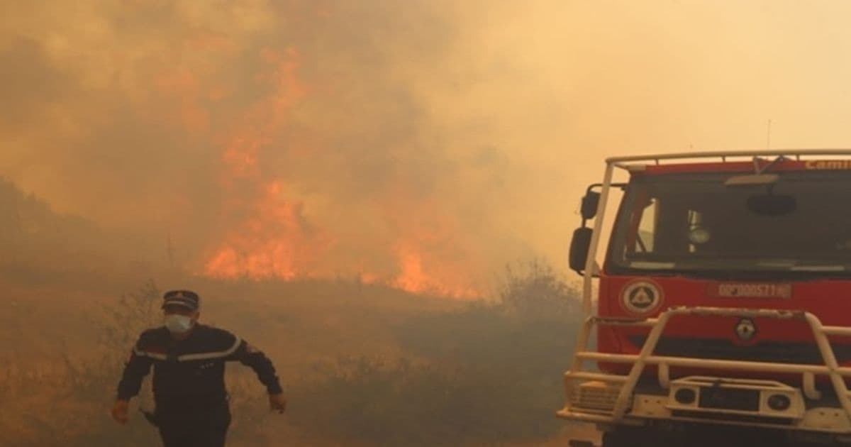 Algeria Fires: Uncovering Possible Conspiracies