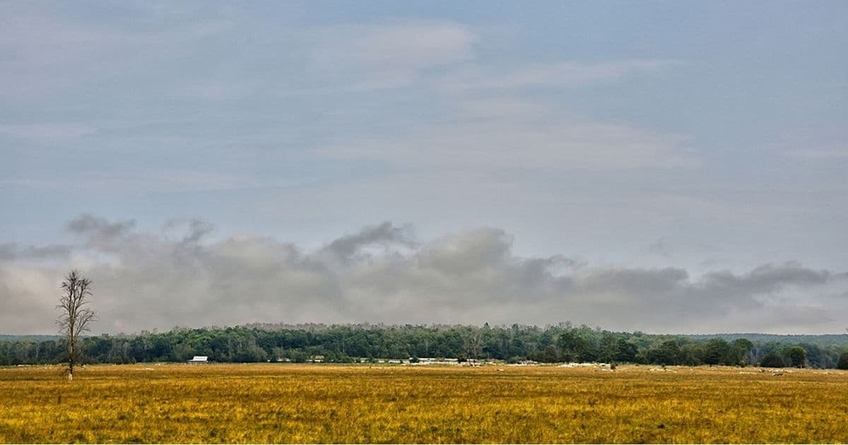 Canadian province declares emergency due to forest fire evacuations