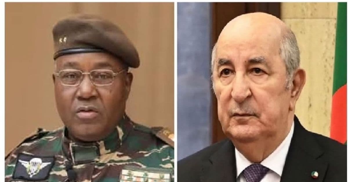 تحول دور الجزائر في النيجر