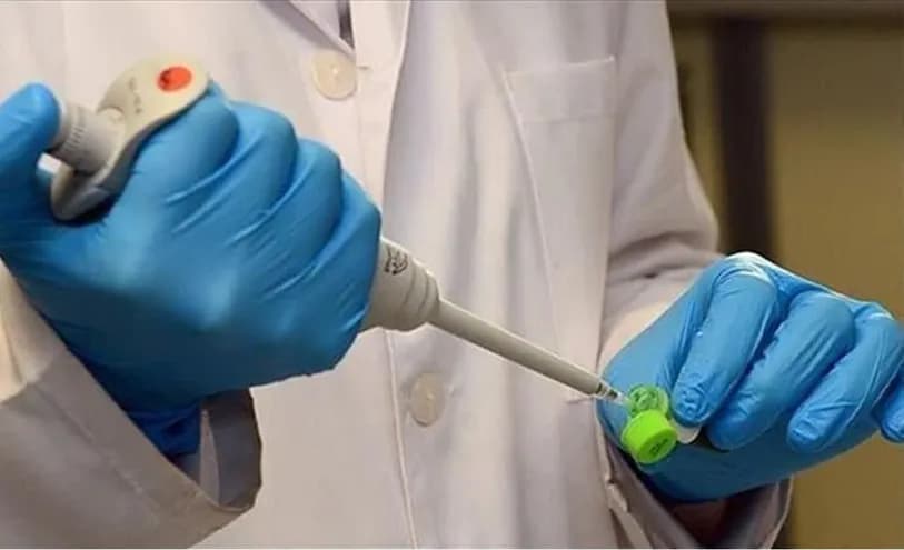 CRISPR Advances Cancer Treatment