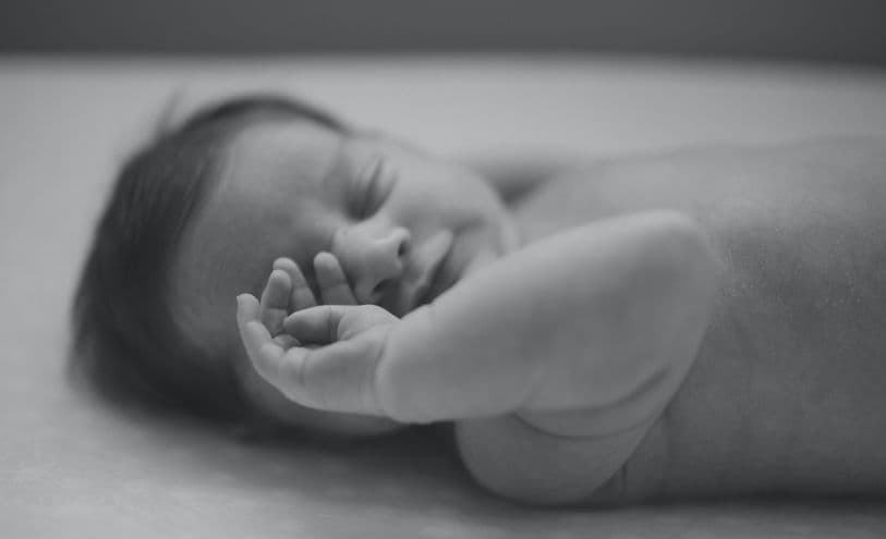 صرخة مولد تعود إلى جزيرة نائية بعد 34 سنة