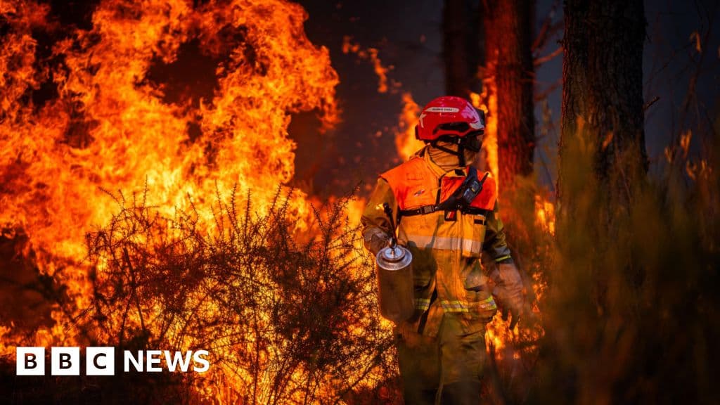 Arrests Made in French Wildfire Cases